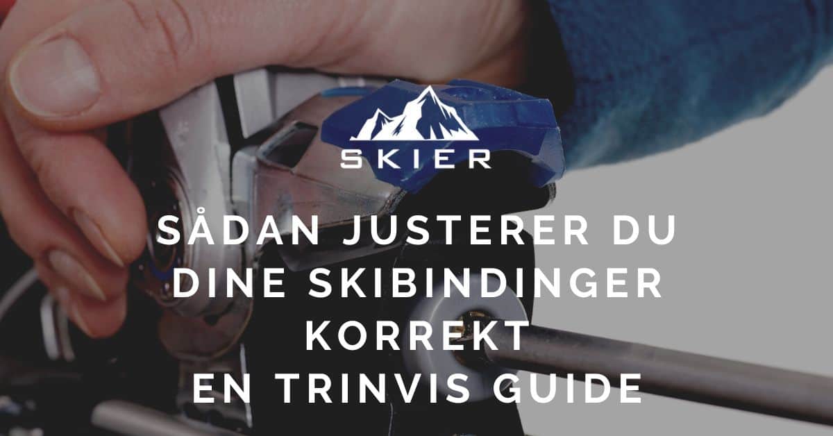 Fabel Række ud elev Guide Til Indstilling Af Skibindinger | Skier.dk